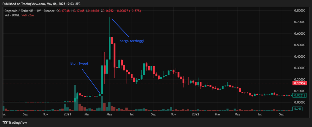 doge coin pump elon musk tweet